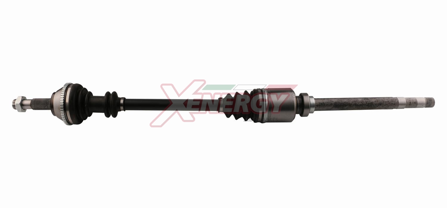 XENERGY SEMIASSE