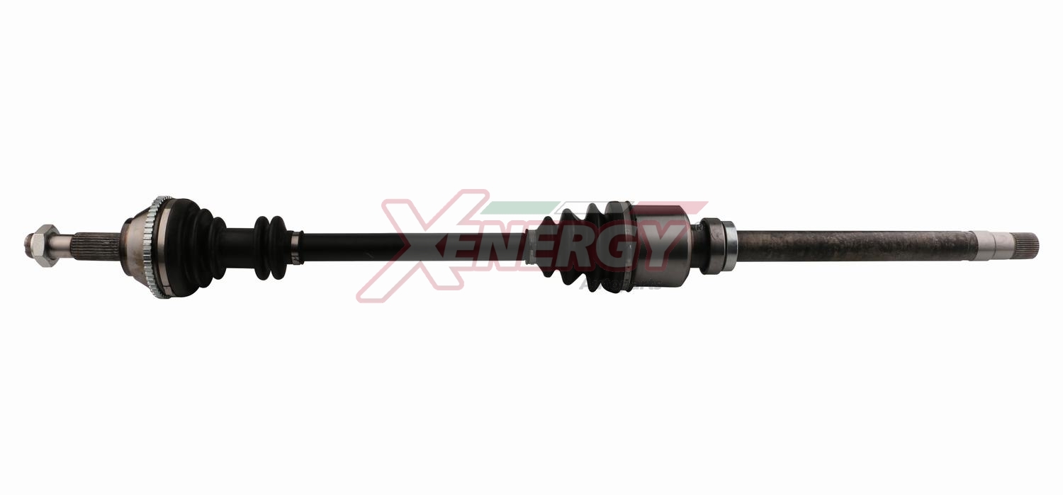 XENERGY SEMIASSE