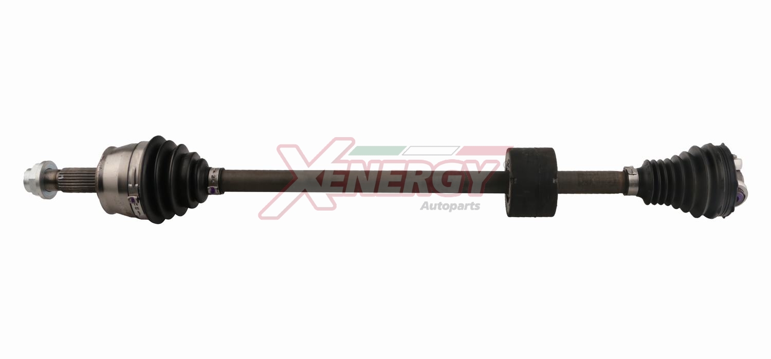 XENERGY SEMIASSE