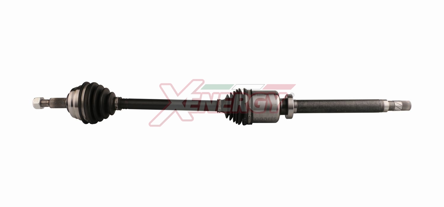 XENERGY SEMIASSE