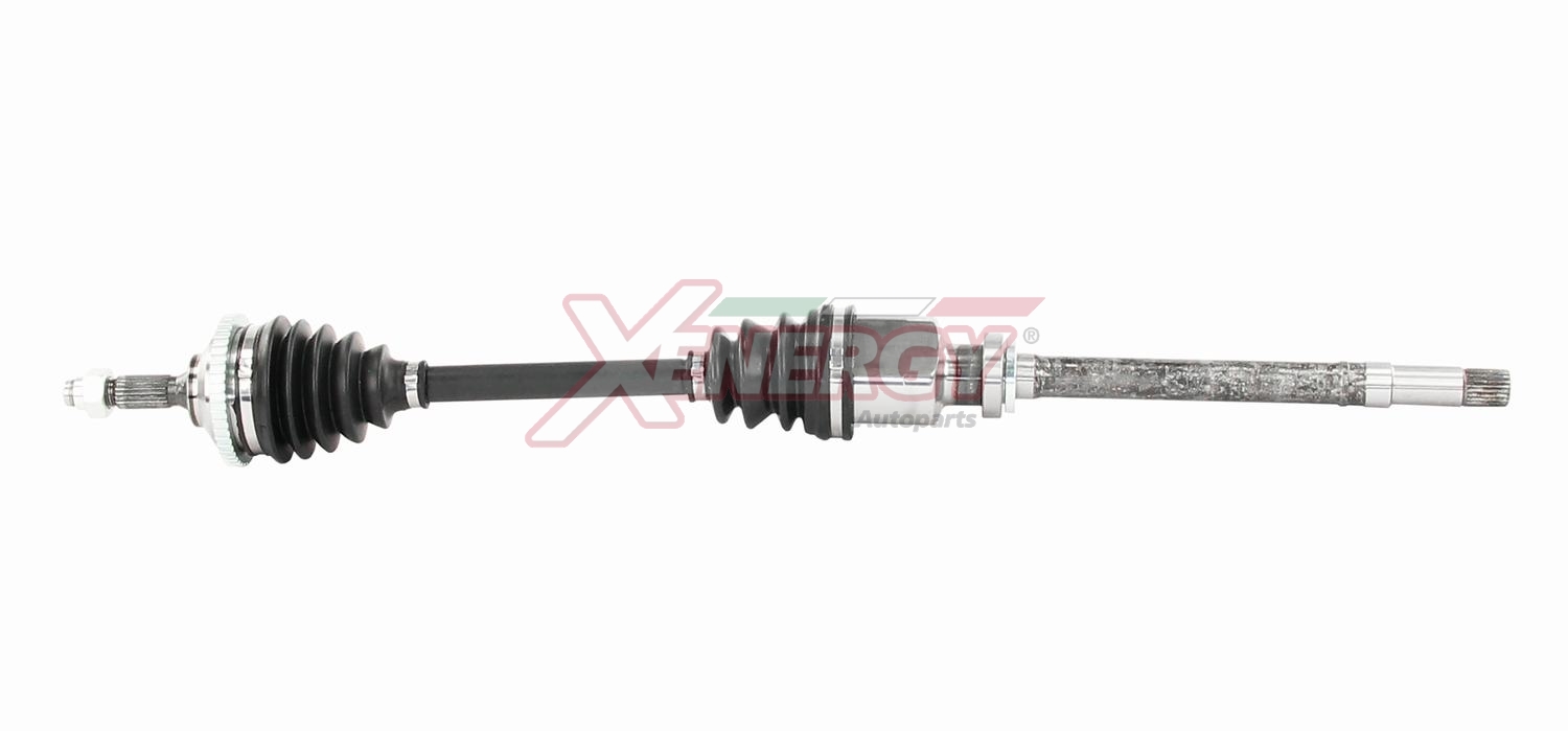 XENERGY SEMIASSE