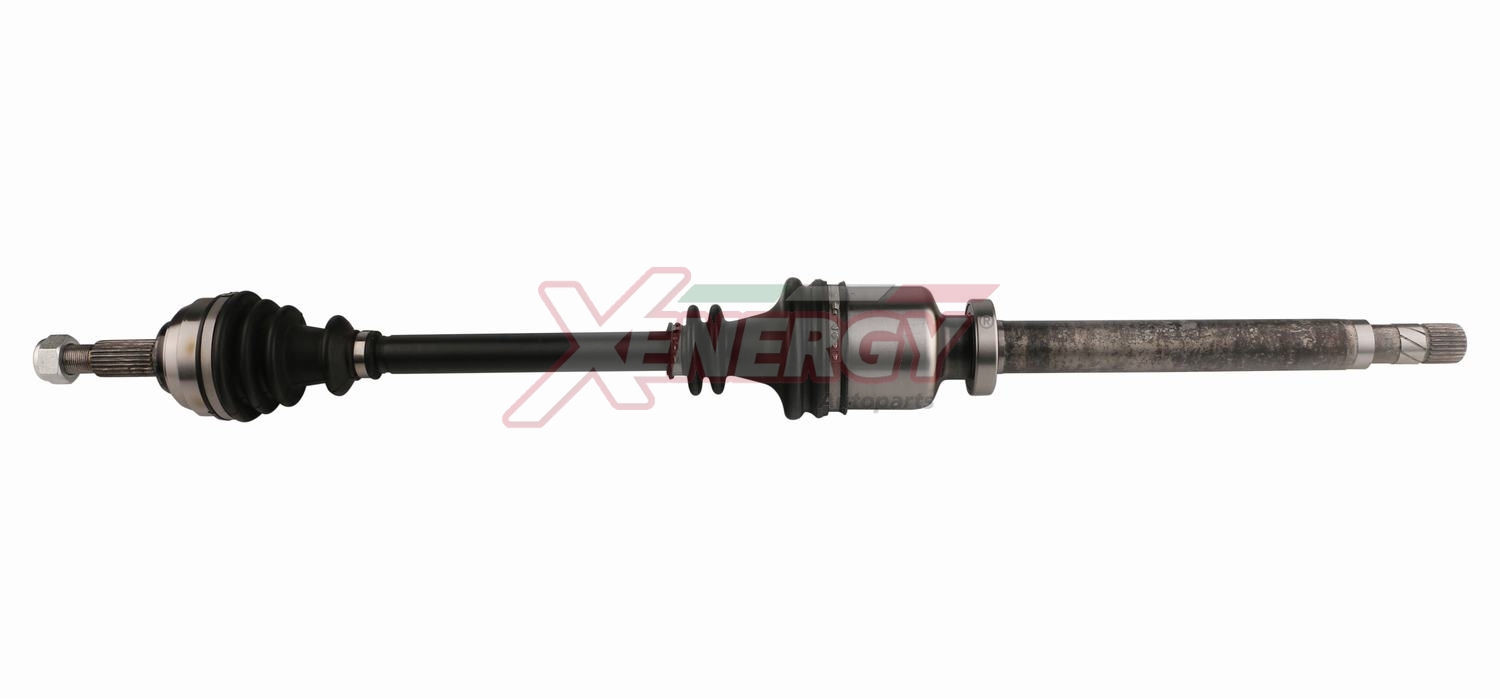 XENERGY SEMIASSE