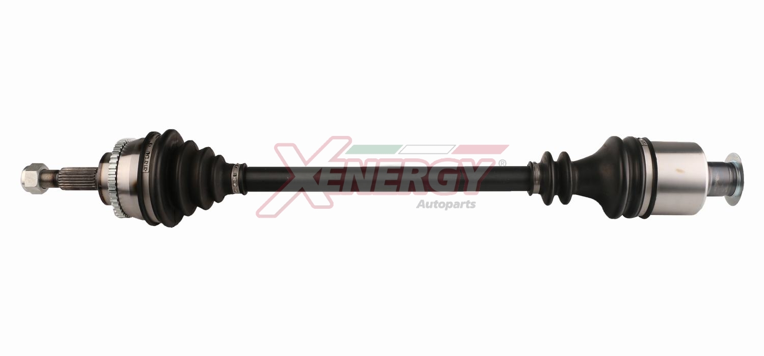 XENERGY SEMIASSE