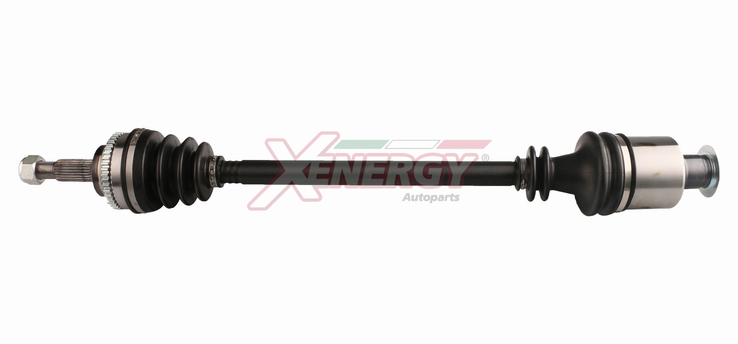XENERGY SEMIASSE