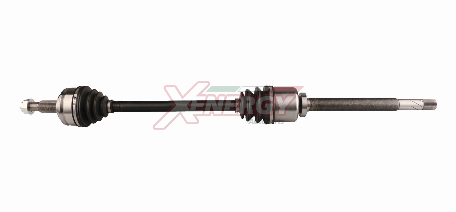 XENERGY SEMIASSE