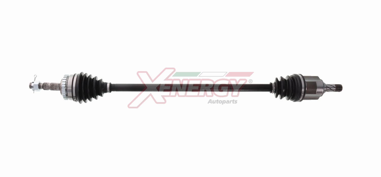 XENERGY SEMIASSE