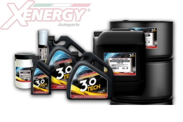 TECH 3.0 GTS 10W-40 CRT 4X4L