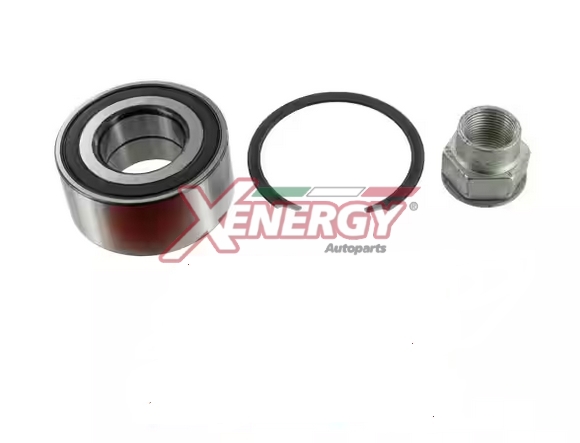 XENERGY KIT RUOTA FIAT GROUP