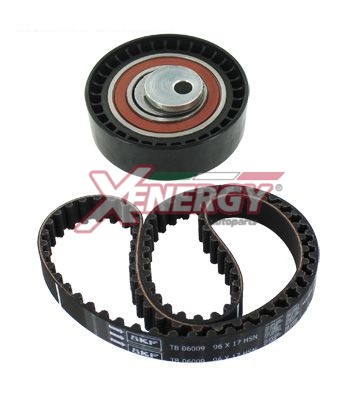 XENERGY KIT DISTRIBUZIONE DACIA