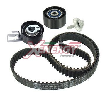 XENERGY KIT DISTRIBUZIONE CITROEN