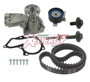 XENERGY KIT DISTRIBUZIONE CON P.ACQUA FORD