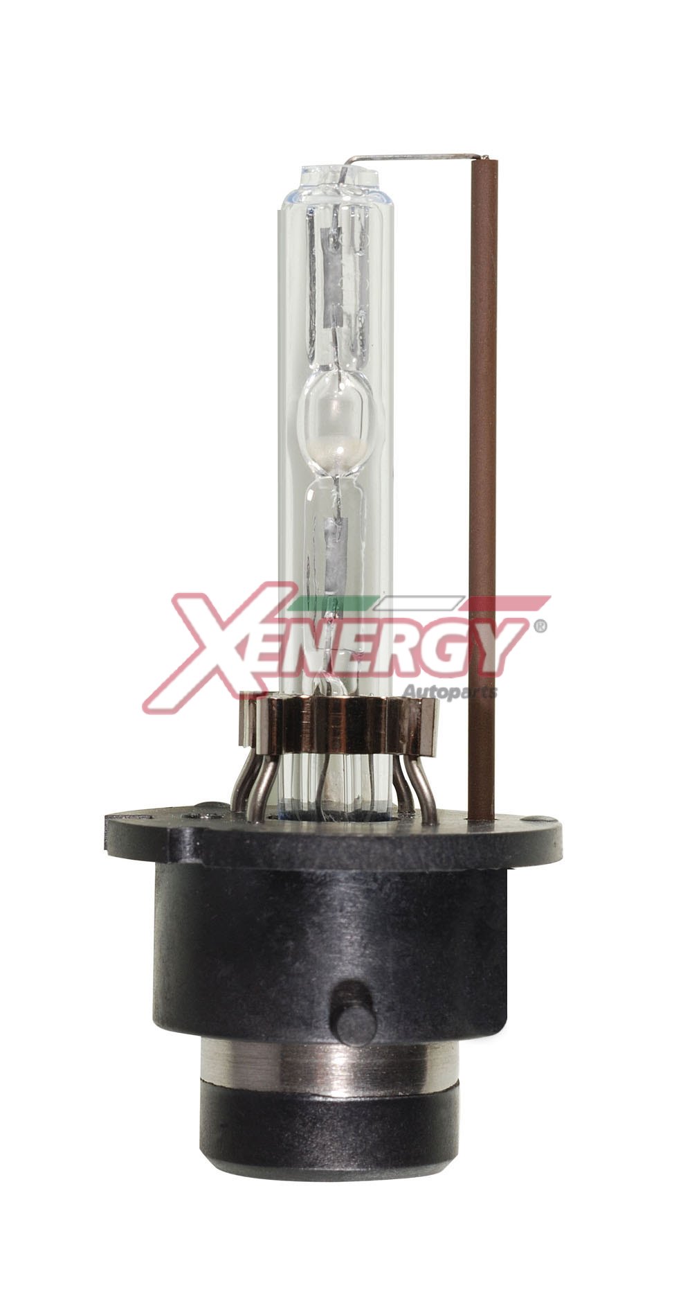 XENERGY LAMPADE XENARC OEM (D2R)