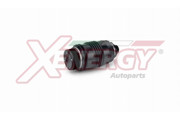 XENERGY SOSP.PNEUMATICHE