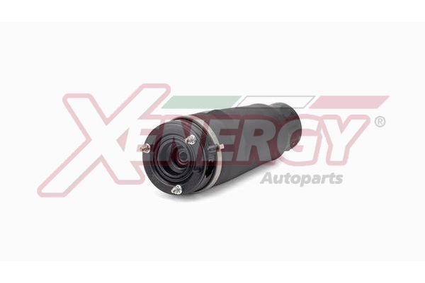XENERGY SOSP.PNEUMATICHE