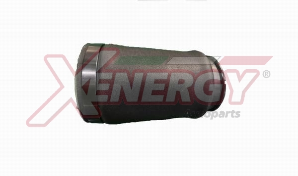 XENERGY SOSP.PNEUMATICHE BMW 520 d -04