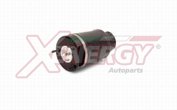 XENERGY SOSP.PNEUMATICHE MERCEDES GL 320 CDI -12