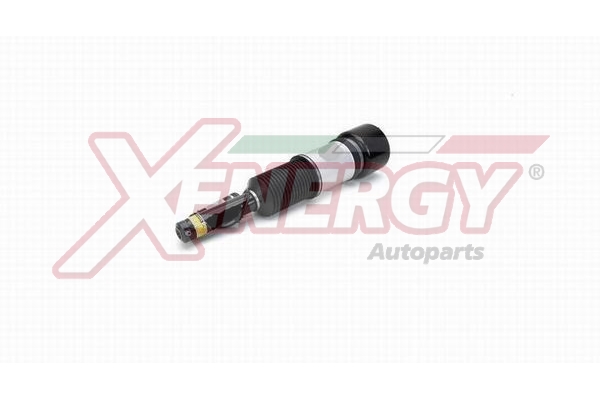 XENERGY SOSP.PNEUMATICHE