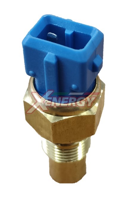 XENERGY TERMOSTATO-INTERRUTTORE