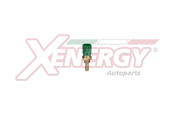 XENERGY TERMOSTATO-INTERRUTTORE