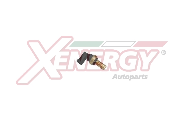 XENERGY TERMOSTATO-INTERRUTTORE