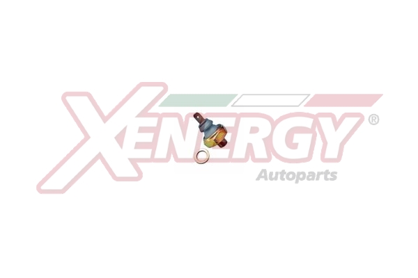 XENERGY TERMOSTATO-INTERRUTTORE