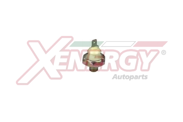 XENERGY TERMOSTATO-INTERRUTTORE