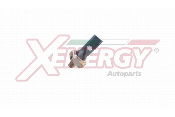 XENERGY TERMOSTATO-INTERRUTTORE