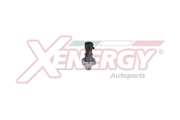 XENERGY TERMOSTATO-INTERRUTTORE