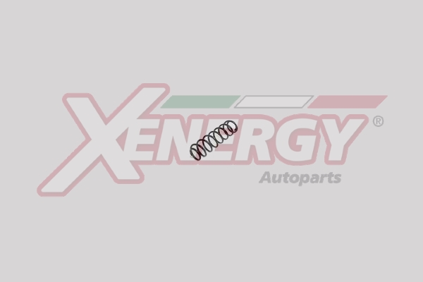 XENERGY MOLLA AUTOTELAIO