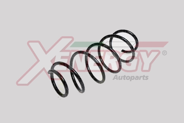 XENERGY MOLLA AUTOTELAIO