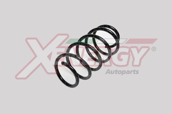 XENERGY MOLLA AUTOTELAIO