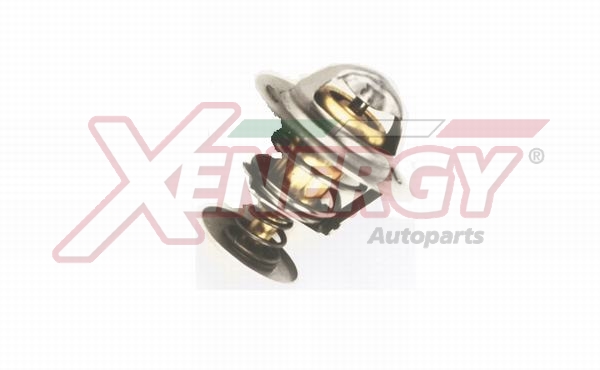 XENERGY TERMOSTATO-INTERRUTTORE