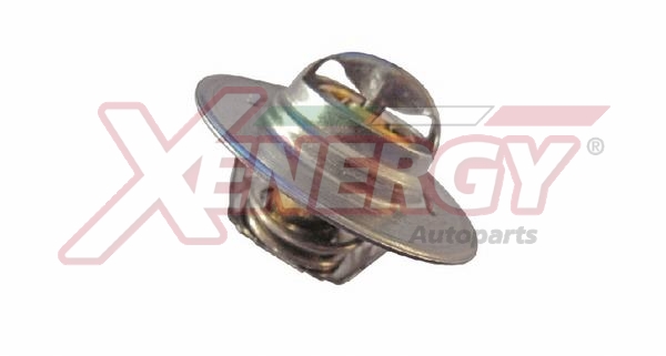 XENERGY TERMOSTATO-INTERRUTTORE