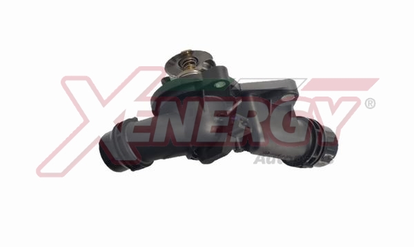 XENERGY TERMOSTATO-INTERRUTTORE