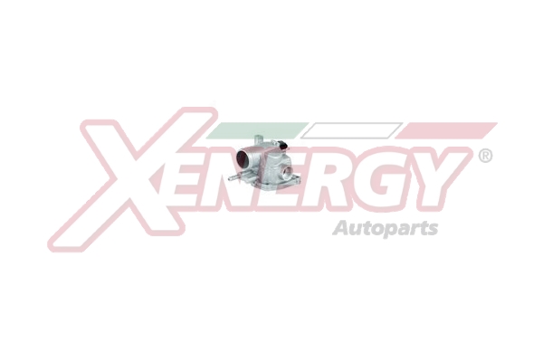 XENERGY TERMOSTATO-INTERRUTTORE