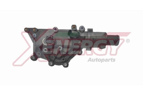 XENERGY TERMOSTATO-INTERRUTTORE