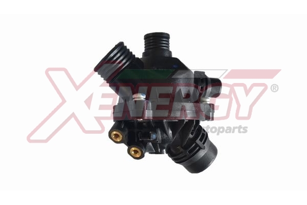 XENERGY TERMOSTATO-INTERRUTTORE
