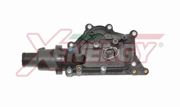 XENERGY TERMOSTATO-INTERRUTTORE