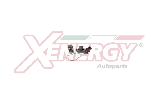 XENERGY TERMOSTATO-INTERRUTTORE