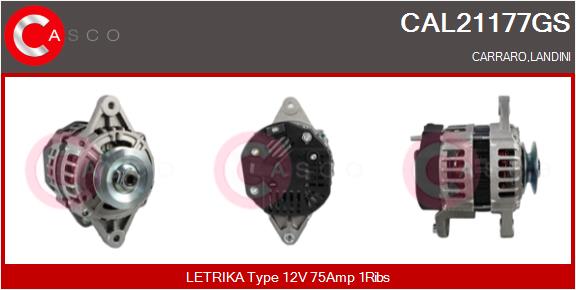 CASCO Altern.LANDINI,CARRARO