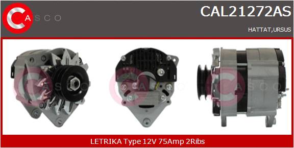 CASCO Altern.HATTAT,URSUS