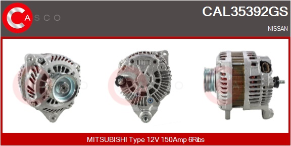 CASCO Altern.NISSAN