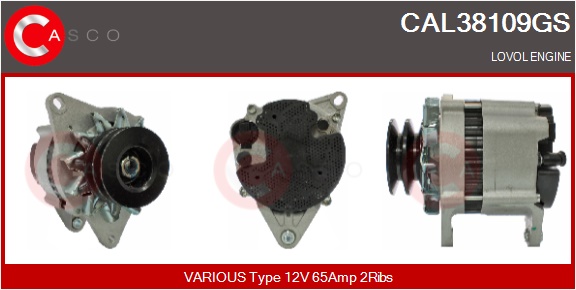 CASCO Altern.LOVOL ENGINE