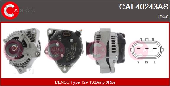 CASCO Altern.TOYOTA