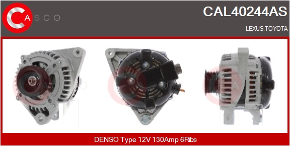 CASCO Altern.LEXSUS