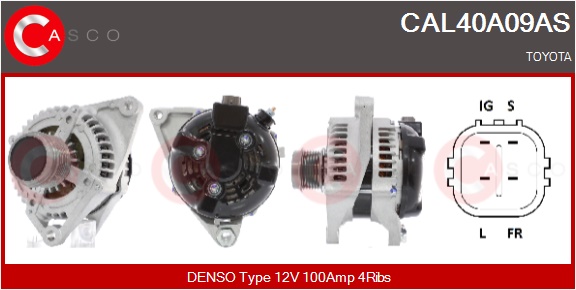 CASCO Altern.TOYOTA
