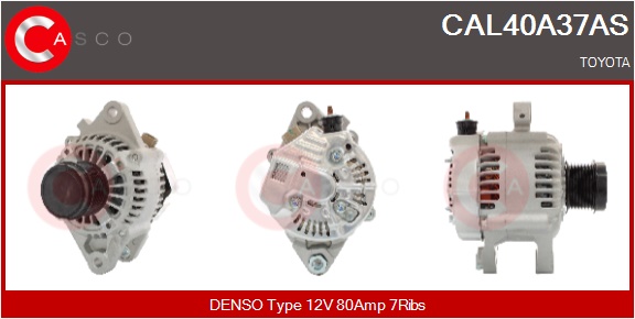 CASCO Altern.TOYOTA