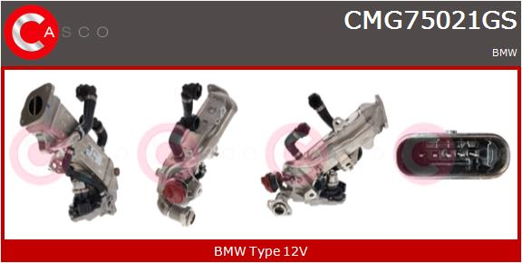 CASCO MODULO EGR  BMW