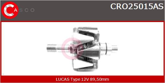 CASCO ROTORE_ALTERNATORE