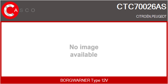 CASCO Turbocompressore, Sovralimentazione CITRO?N,